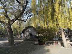 -晋祠公园