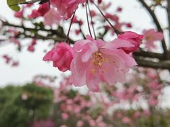 -潜龙渠公园