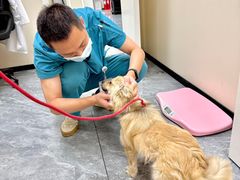 -美联众合爱康动物医院•复杂内科•肿瘤科•牙科•腔镜诊疗中心