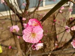 -北京鹫峰国家森林公园