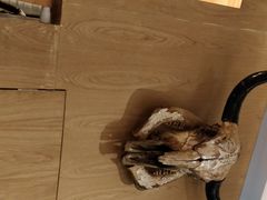 -木屋烧烤(坂田天安云谷店)