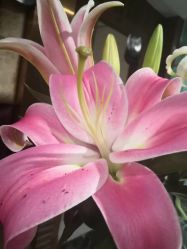 -琦品高端美容SPA私佳美场