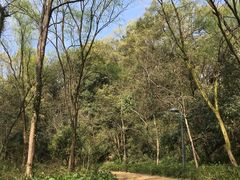 -西湖风景区-江洋畈生态公园