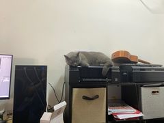 -壹人壹像工作室(购物公园店)