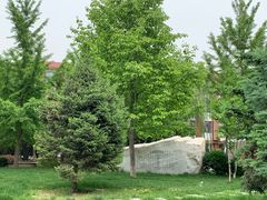 -中国政法大学(昌平校区)