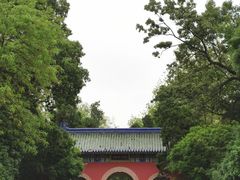 -灵谷景区