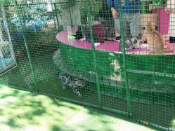 -萌宠亲子动物乐园(槐房万达店)