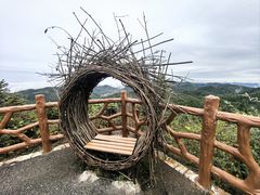 -武陵山森林公园