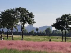 -汉长安城未央宫国家考古遗址公园