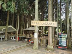-武陵山森林公园