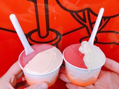 -Dip in Gelato(富民路店)