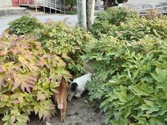 -大钟寺古钟博物馆