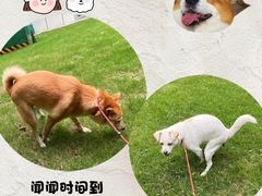 -金牛万达广场