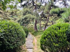 -元大都城垣遗址公园