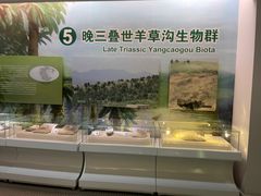 -辽宁古生物博物馆