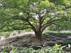 -晓港公园