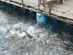 -南丫岛
