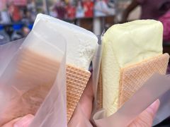 -詹爷爷乌节路街头冰淇淋