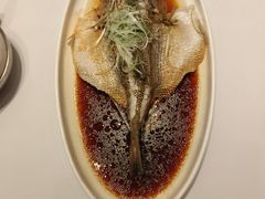 清蒸鲈鱼-万荣烤鸭店·北京菜(天坛店)