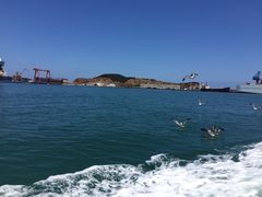 -海驴岛(荣成市)