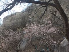 -北京凤凰岭