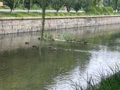 -元大都城垣遗址公园