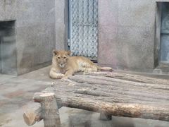 -西安秦岭野生动物园
