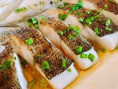 -热度餐厅(老佛爷店)