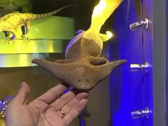 -正佳自然科学博物馆