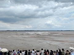 -观潮胜地公园