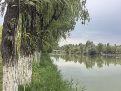 -伊犁河景区
