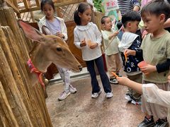 -杭州开元森泊度假乐园