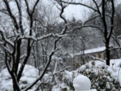 -秦岭终南山世界地质公园翠华山景区