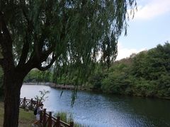 -白马涧龙池景区