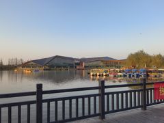 -上海长兴岛郊野公园