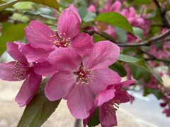 -长白岛森林公园