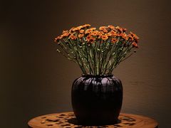 -上屿水产(鼓浪屿一店)