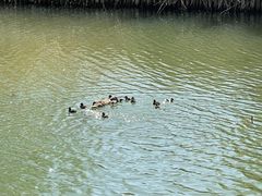 -朝阳公园