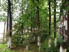 。。。-太阳岛度假酒店