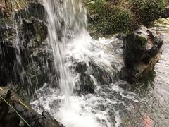 -苏苑饭店-中餐厅(长桥地区店)