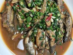-全乐鱼馆·淳牌有机鱼直营店