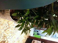 -SPR COFFEE(兴正元店)