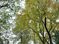 -食膳公园包子铺(烈士公园店)