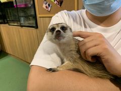 -藦茜花园宠物主题亲子互动体验馆(国顺东路店)