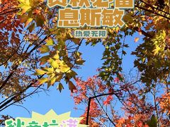 -上海海湾国家森林公园