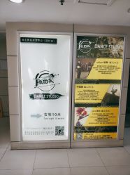 -学舞岛·成人少儿舞蹈培训