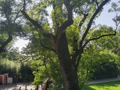 -红螺寺
