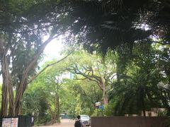 -九龙公园