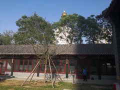 -护国法轮寺