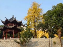 -宝通禅寺